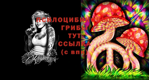 винт Нягань