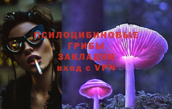 винт Нягань