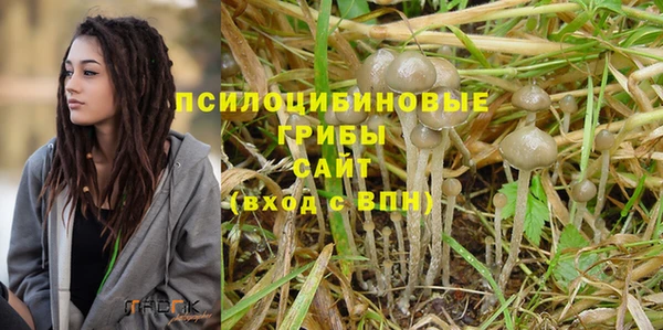 винт Нягань