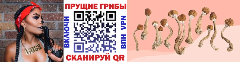 дарк нет как зайти  Нижняя Тура  Псилоцибиновые грибы Magic Shrooms  даркнет сайт 